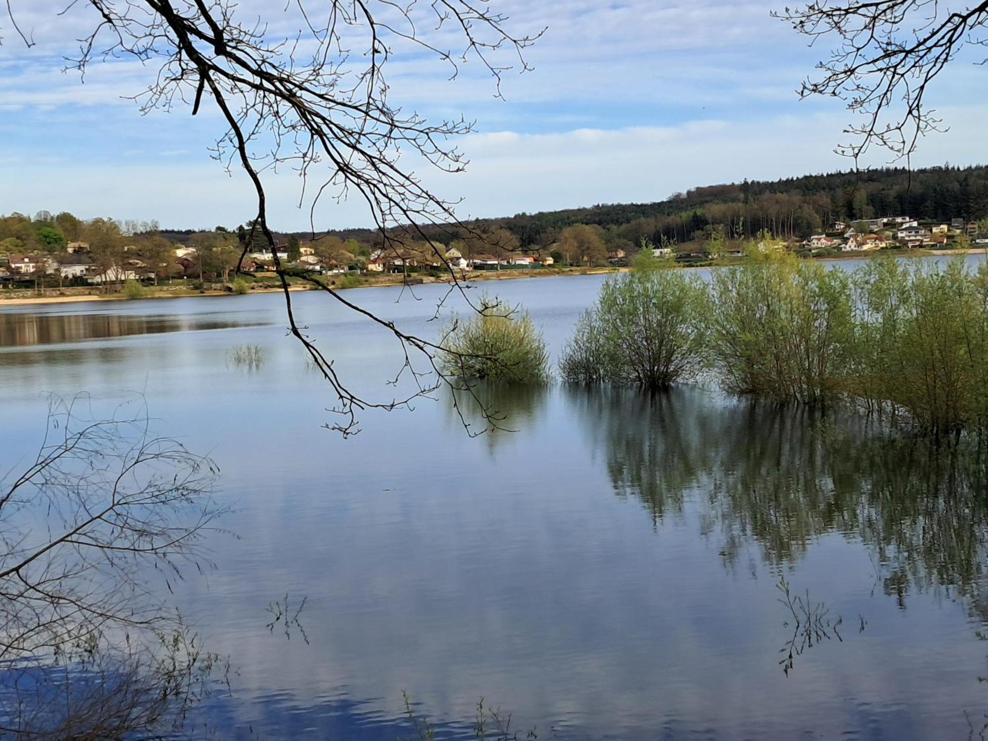 Grand Gite Des Pins Chaumousey Kültér fotó